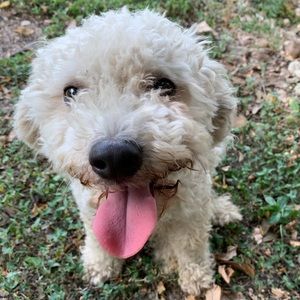 Meet your Posher, Flor